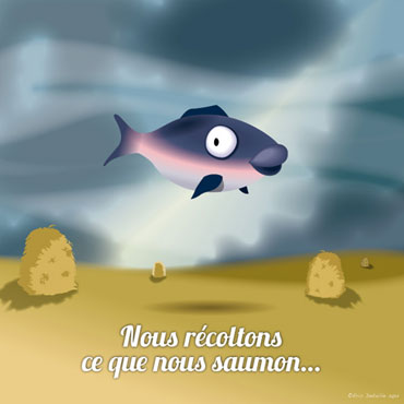 Creatures - Poissons frais - Nous récoltons ce que nous saumon
