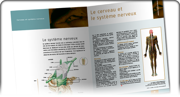 Creatures - Mises en page - Encyclopédie médicale
